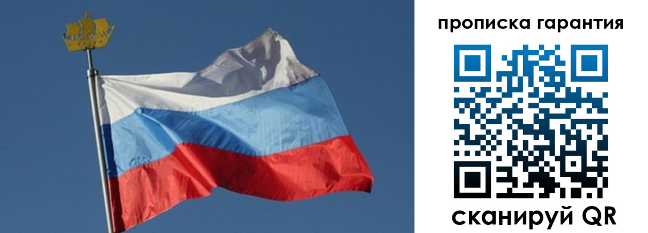 прописка для работы в Истре